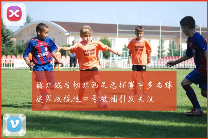 赫尔城与切尔西足总杯赛中多名球迷因歧视性口号被捕引发关注