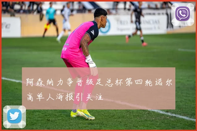 阿森纳力争晋级足总杯第四轮诺尔高单人海报引关注